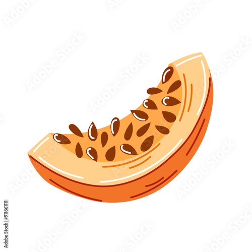 Pumpkin slice with seeds visible in cartoon. Piece shows a bright orange flesh and a curved, natural texture. Vector illustration isolated on a white background.