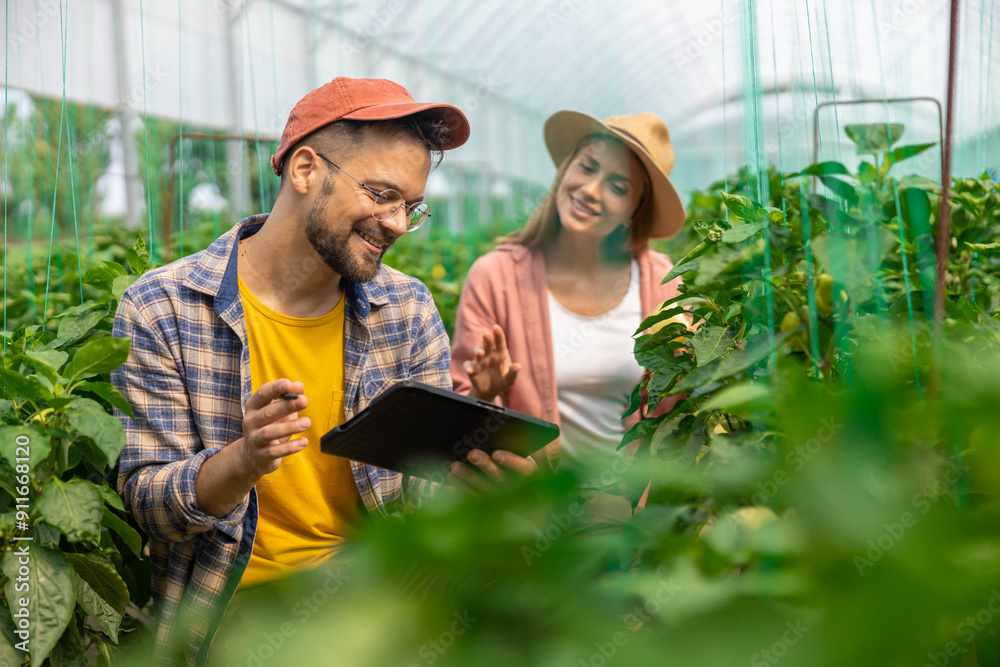 two farmers, a man and a woman, work in a pepper greenhouse and use a digital tablet to check the produce two farmers, a man and a woman, work in a pepper greenhouse and use a digital tablet to check the produce