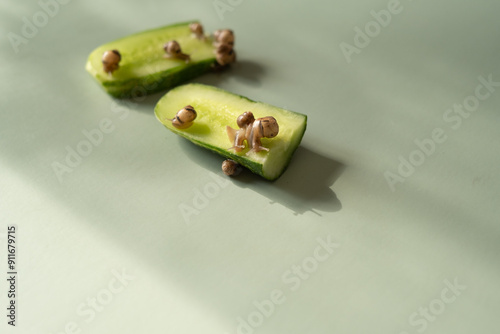 Baby snails Lissachatina fulica or Achatina fulica on a green background photo