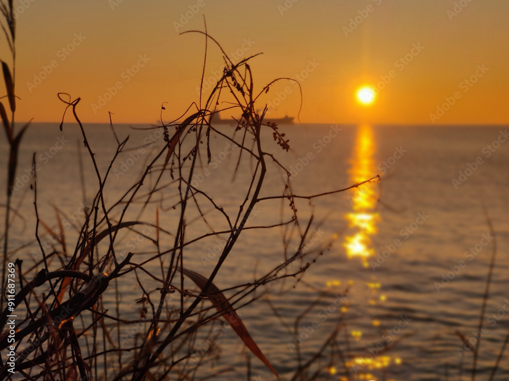 Varna sea and nature in Bulgaria Varna sea and nature in Bulgaria