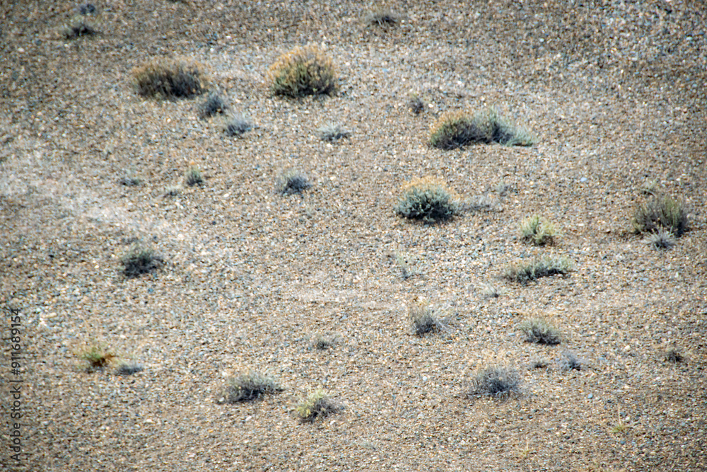 Steppen landscape at peninsula valdes, chubut, argentina Steppen landscape at peninsula valdes, chubut, argentina