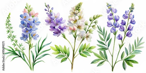 Watercolor Illustration of Blue, Purple and White Flowers with Green Leaves, watercolor , floral illustration , flower illustration , botanical illustration