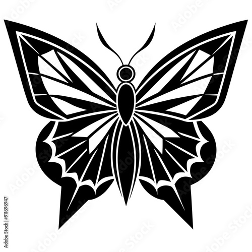 Butterfly Vector 