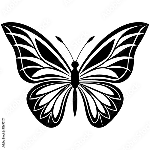 Butterfly Vector 