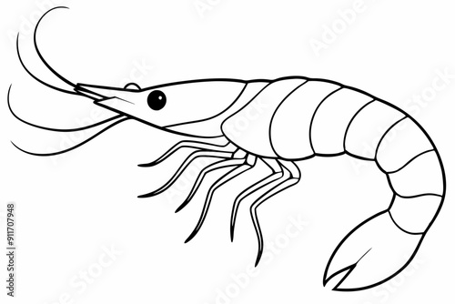 shrimp line art vector , shrimp icon vector, Sea lobster	
