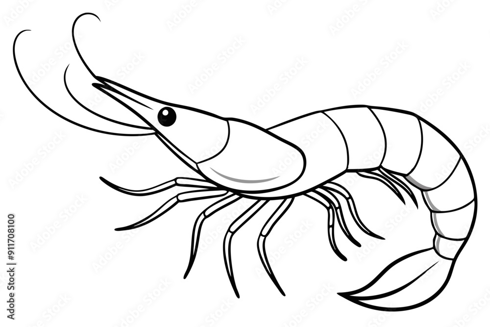 shrimp line art vector , shrimp icon vector, Sea lobster
shrimp line art vector , shrimp icon vector, Sea lobster