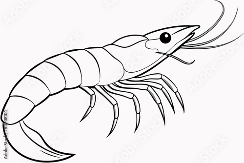 shrimp line art vector , shrimp icon vector, Sea lobster	
