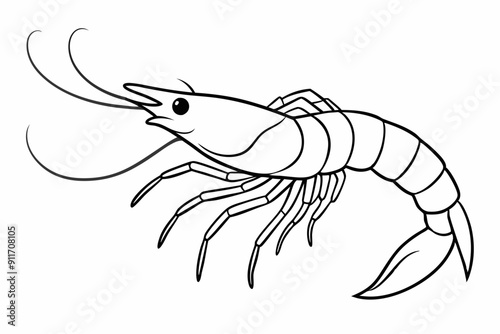 shrimp line art vector , shrimp icon vector, Sea lobster	
