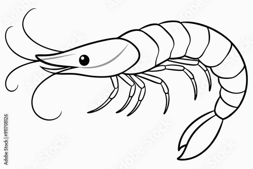 shrimp line art vector , shrimp icon vector, Sea lobster	
