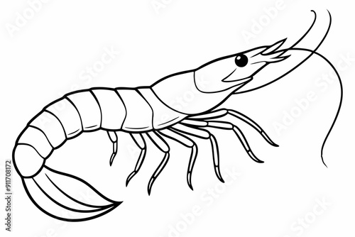 shrimp line art vector , shrimp icon vector, Sea lobster	
