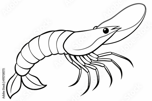shrimp line art vector , shrimp icon vector, Sea lobster	
