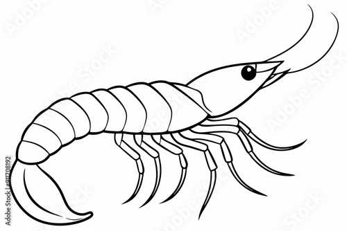 shrimp line art vector , shrimp icon vector, Sea lobster	
