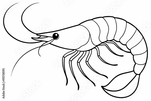shrimp line art vector , shrimp icon vector, Sea lobster	

