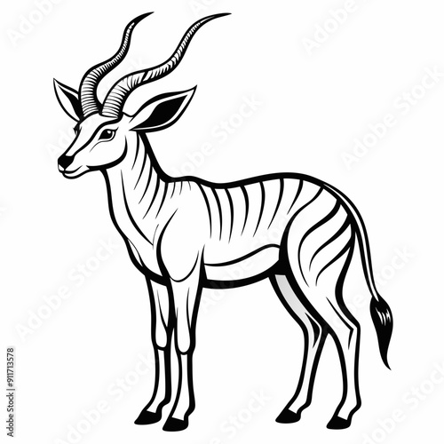 Antelope Line Art Vector Illustration