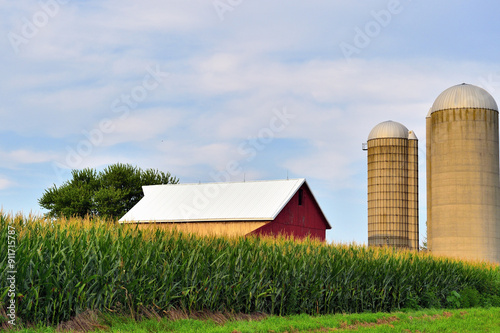 A barn and silos paritally obscured from view by a maturing corn crop on a farm in north cnetral Illinois. Much of the state of Illinois is dedicated to agriculture.
