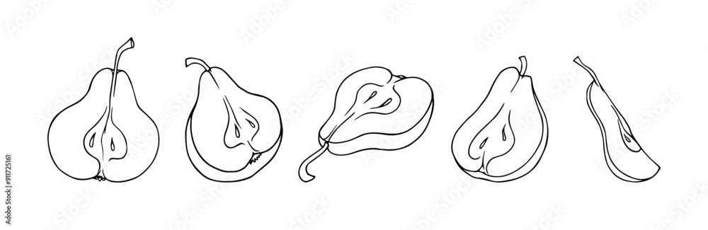 Set of linear sketches, contours of halves of pear fruits. Vector graphics. Set of linear sketches, contours of halves of pear fruits. Vector graphics.