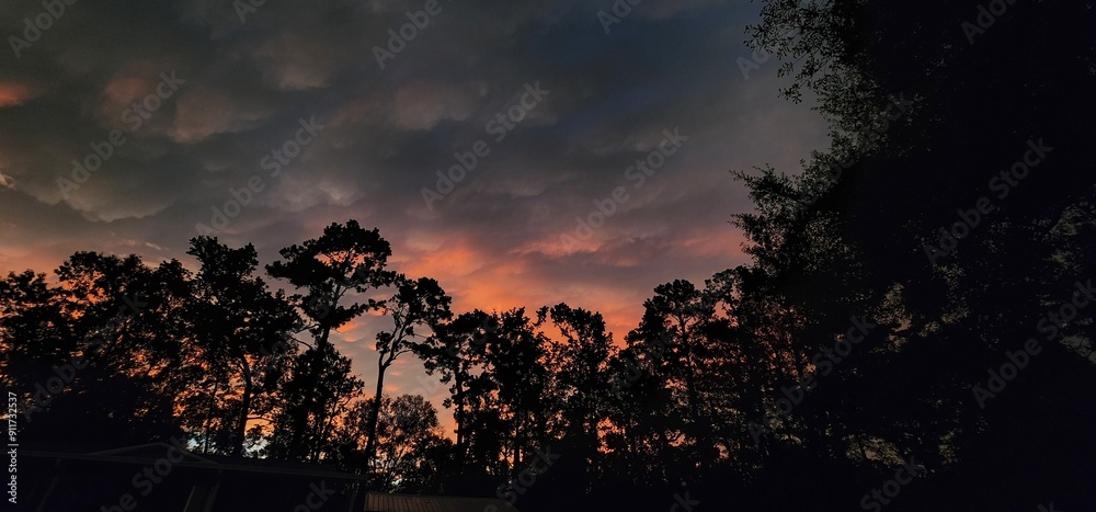 Fototapeta premium All things nature