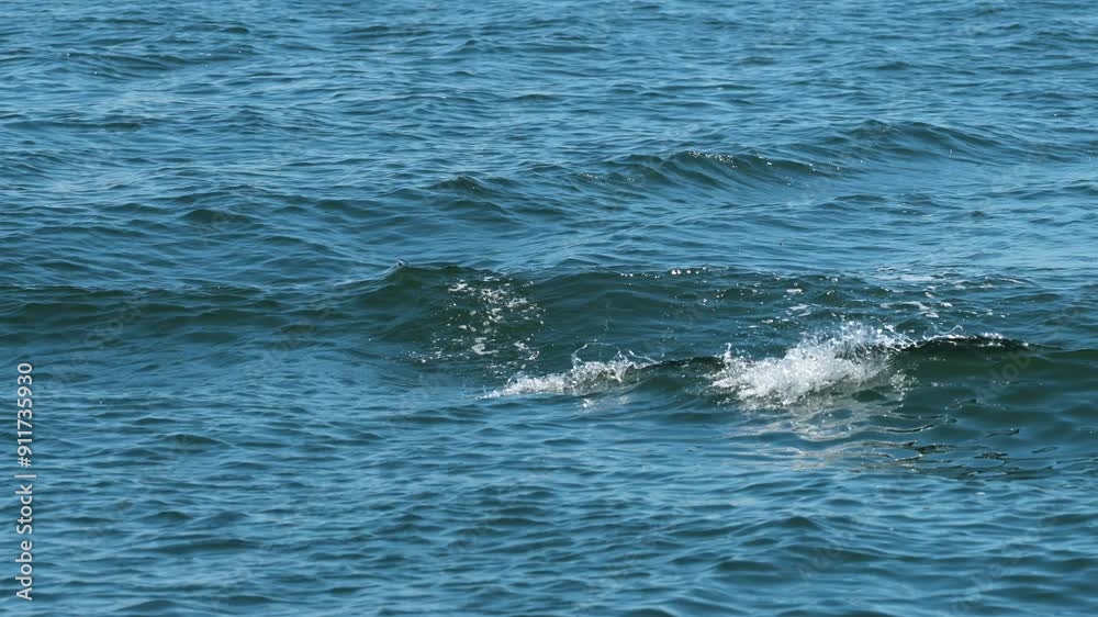 Ship waved on a sunny day