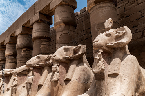 Ram headed sphinxes at Karnak Temple, Travelling Egypt