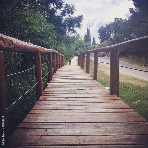 Puente de madera