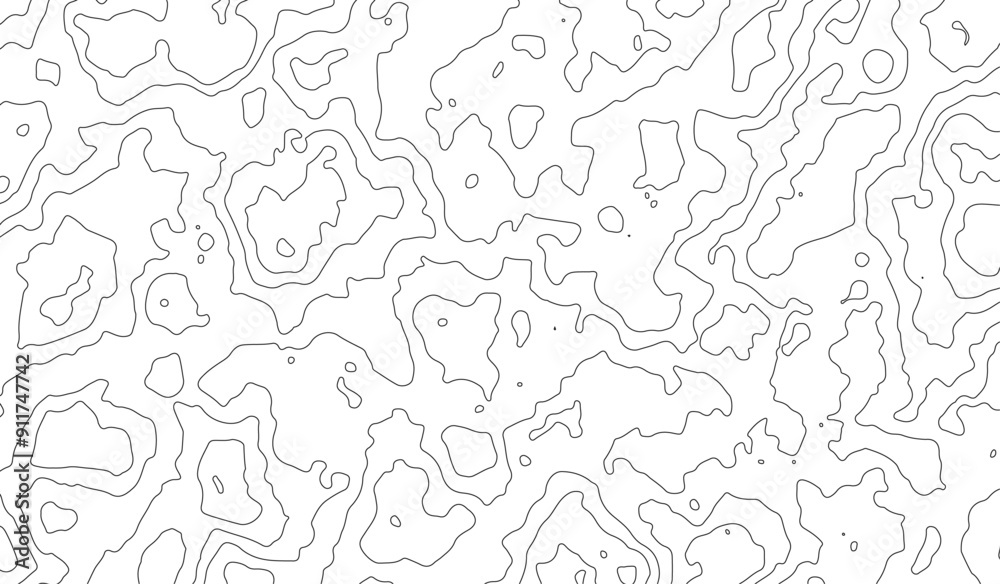 Abstract vector illustration. Topographic map background. Grid map. Contour map vector.