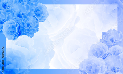 blue rose flowers bouquet on blue rectangular frame, blur roses on white and blue background, template, nature, name card, copy space
