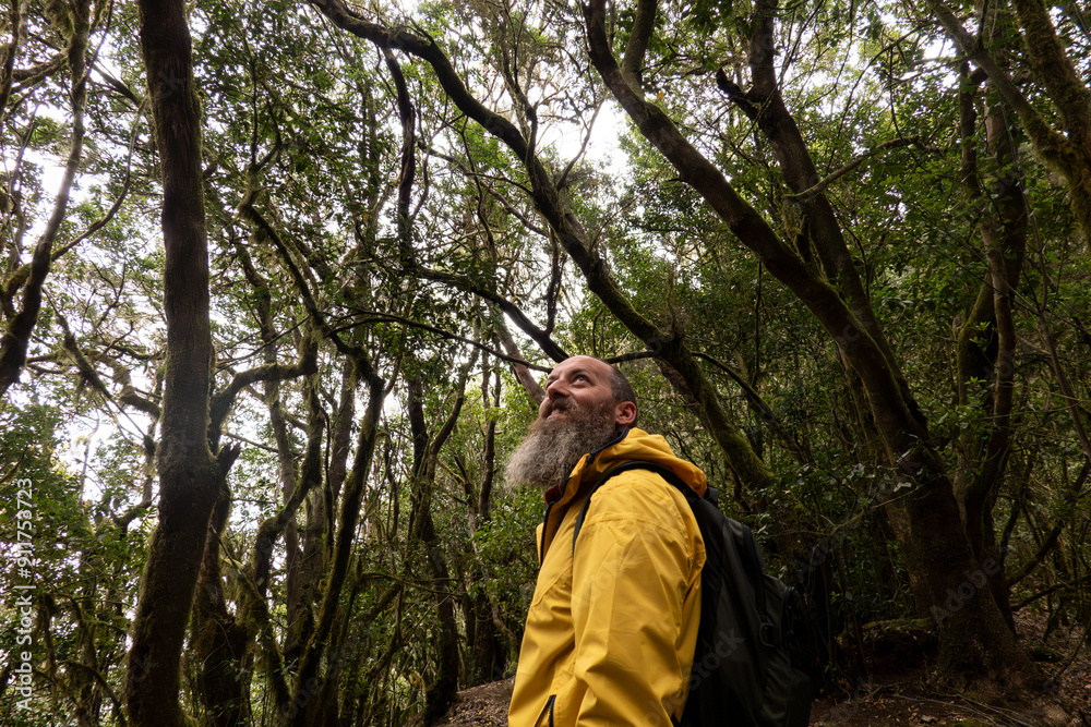exploring the laurel forest in la gomera exploring the laurel forest in la gomera