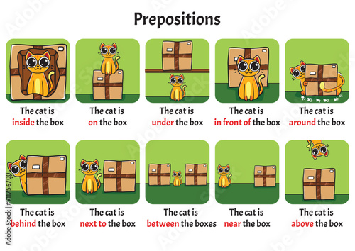 Prepositions with a cat as the model, english learning for kids, cute hand drawn pictures