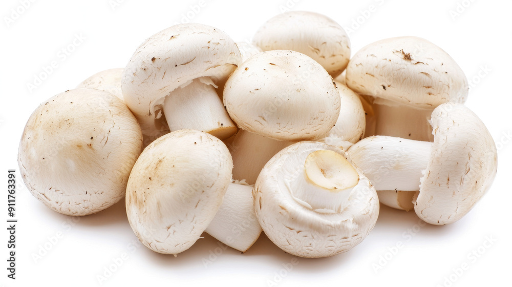 White button mushrooms on a white background. White button mushrooms on a white background.
