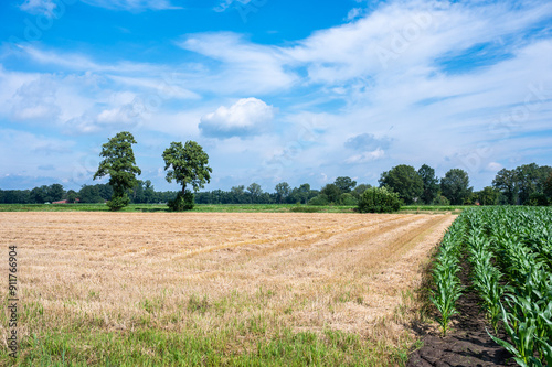 Green agriculture fields and meadows at the German countryside around Osterwald, Lower Saxony, Germany photo