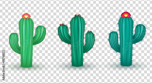 Set of 3d realistic green cacti with spines isolated on transparent background. Three dimensional plant belonging to the family Cactaceae clip art.  Cartoon mexican flora - cactus