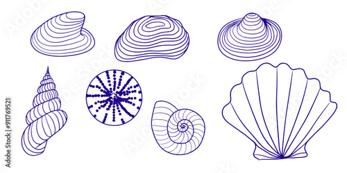 Set of line seashells isolated, sketch, for coloring page.