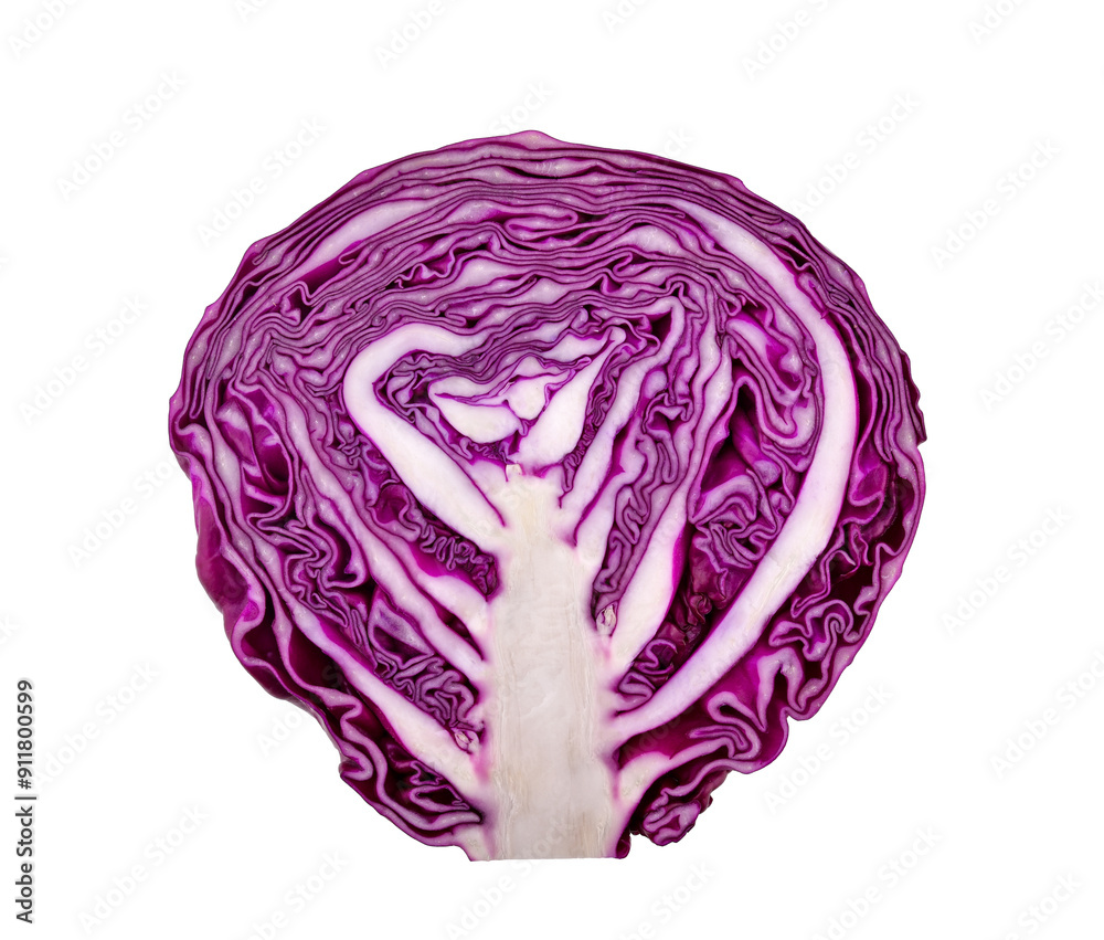 Purple cabbage isolated on white background Purple cabbage isolated on white background