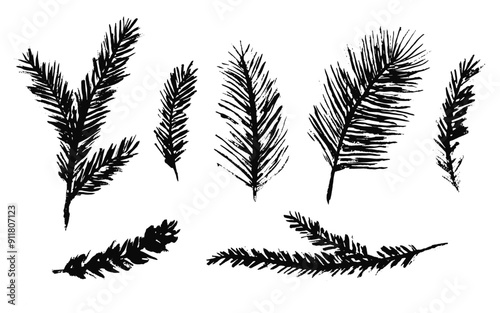 Set of black ink textured coniferous branches forest illustrations. Detailed Christmas fir, pine, cedar, spruce tree twigs for New Year greeting cards and banner decor, pattern design, package