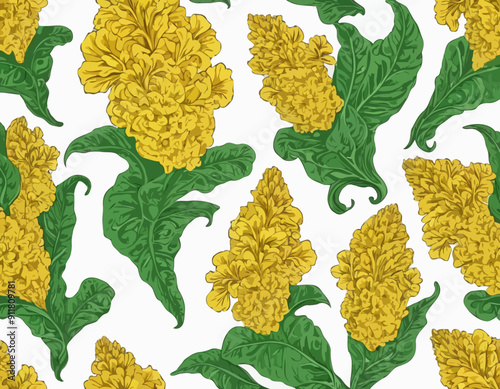 Vector outline yellow Celosia crisrtata or Cockscomb flower and ornate green leaves isolated on white background
