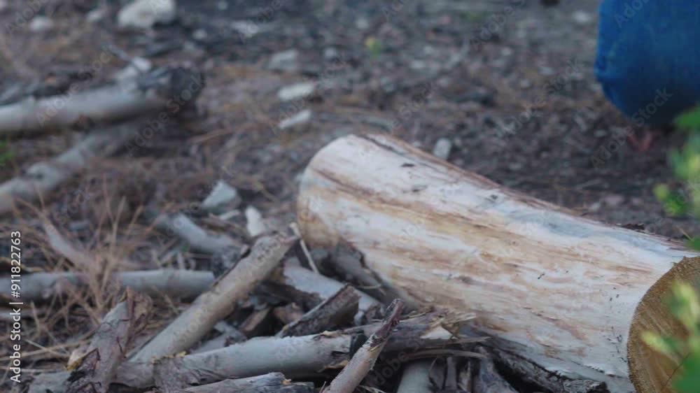 Splitting Wood, Close-Up of Logs Breaking-6.mp4, Splitting Wood, Close-Up of Logs Breaking Splitting Wood, Close-Up of Logs Breaking-6.mp4, Splitting Wood, Close-Up of Logs Breaking