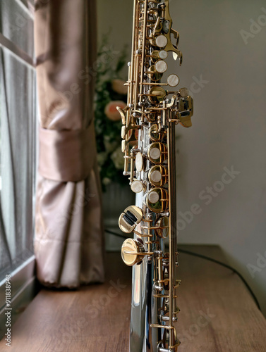 Canvas Print Soprano saxophone, Popular professional Jazz music instrument