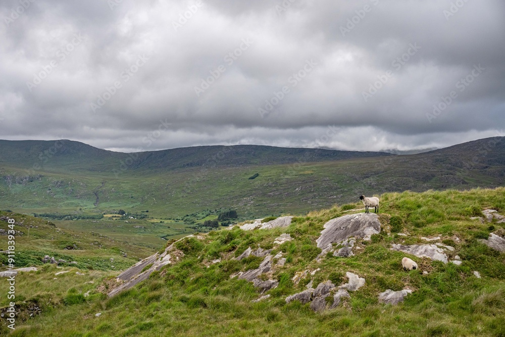 Fototapeta premium Ring of Kerry, Ireland