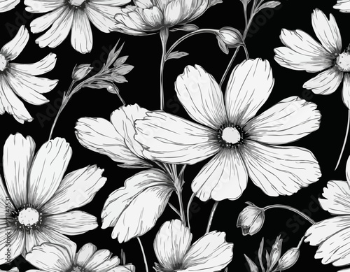 Vector Cosmos floral botanical flowers. Black and white engraved ink art. Isolated cosmea illustration
