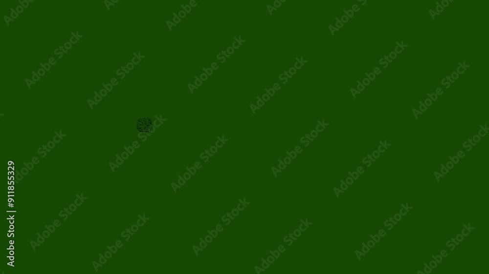 Brush stroke circle spotted highlight motion graphic animation on green screen background Brush stroke circle spotted highlight motion graphic animation on green screen background