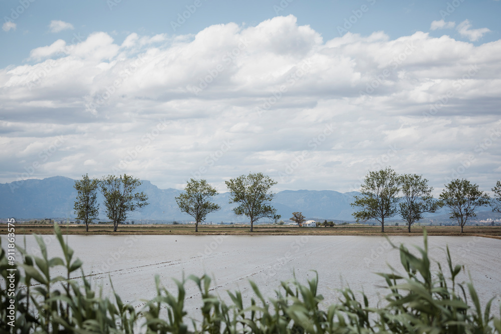 Landscape of the delta Landscape of the delta
