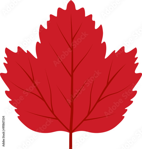 Maple leaf icon. Autumn leaf symbol. Flat style.