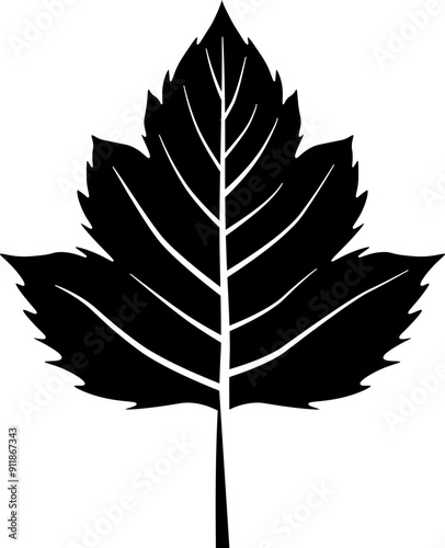 Hawthorn leaf icon. Autumn leaf symbol. Silhouette style.