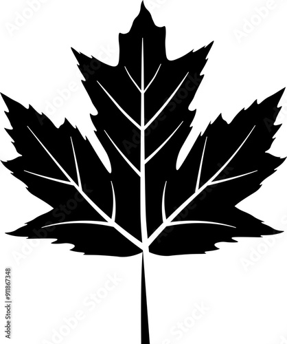 Maple leaf icon. Autumn leaf symbol. Silhouette style.