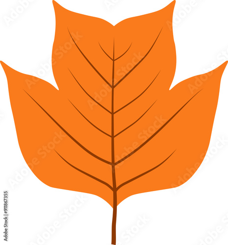 Tulip tree leaf icon. Autumn leaf symbol. Flat style.