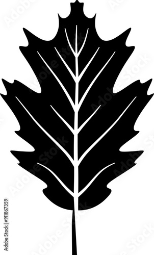 Oak leaf icon. Autumn leaf symbol. Silhouette style.