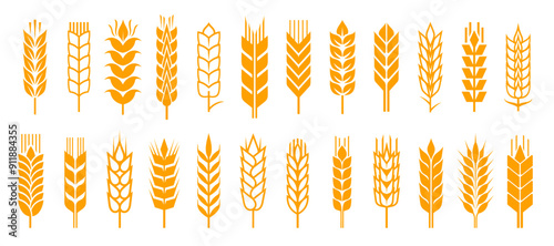 Wheat ear spikelets with cereal grains vector icons, farm field crop plants, agriculture, bakery food and flour products. Isolated silhouettes of gold wheat ears, dry stalks, leaves and cereal seeds