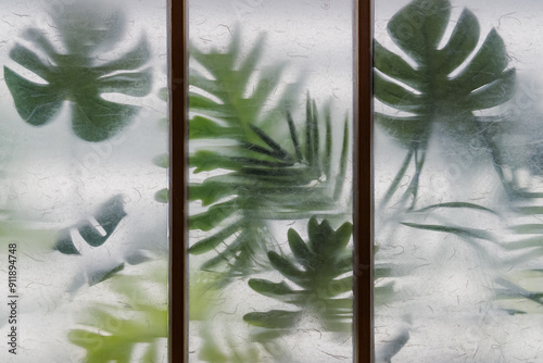  Green Leaves Behind Frosted Window