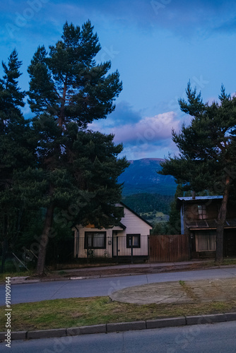 House hidden in trees photo