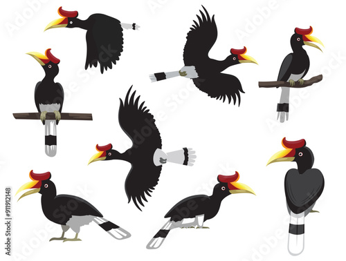 Bird Rhinoceros Hornbill Exotic Various Poses Cartoon Vector Character